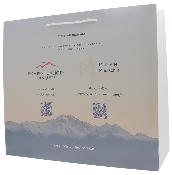 Sacs à plaques