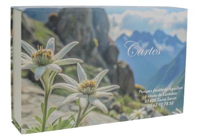 Boites à cartes